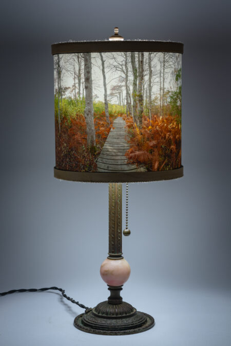 8 inch diameter lampshade "October Polpis Ferns"