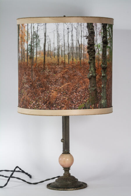 12 inch lampshade "Fall Ferns and Foliage in Squam"